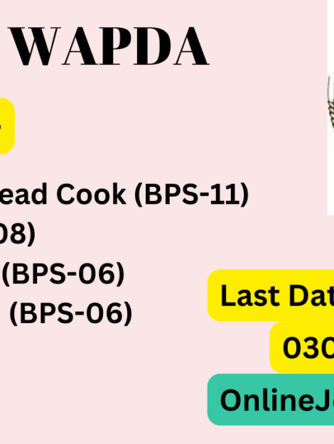 Jobs-in-WAPDA_20240508_233351_0000-min